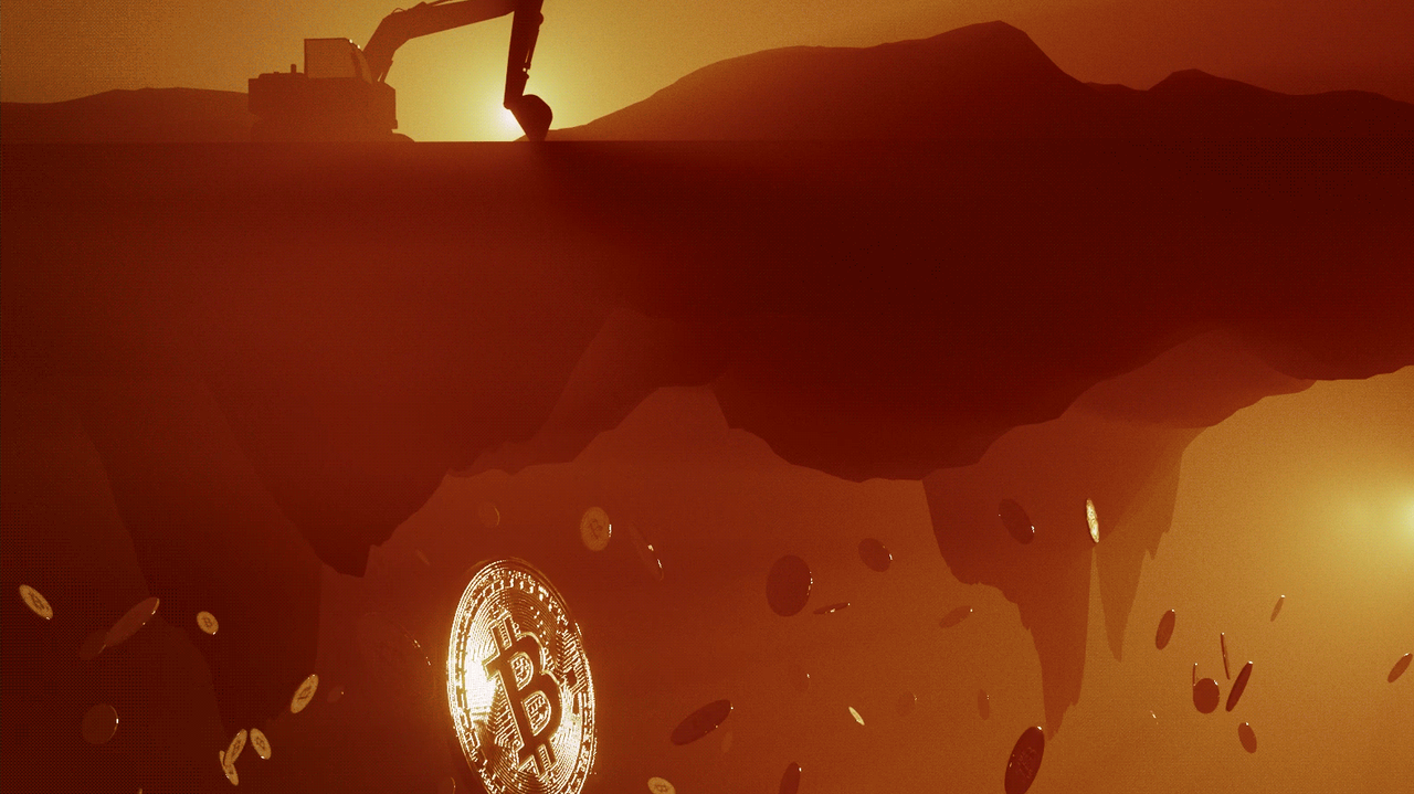 Half a Billion in Bitcoin, Lost in the Dump