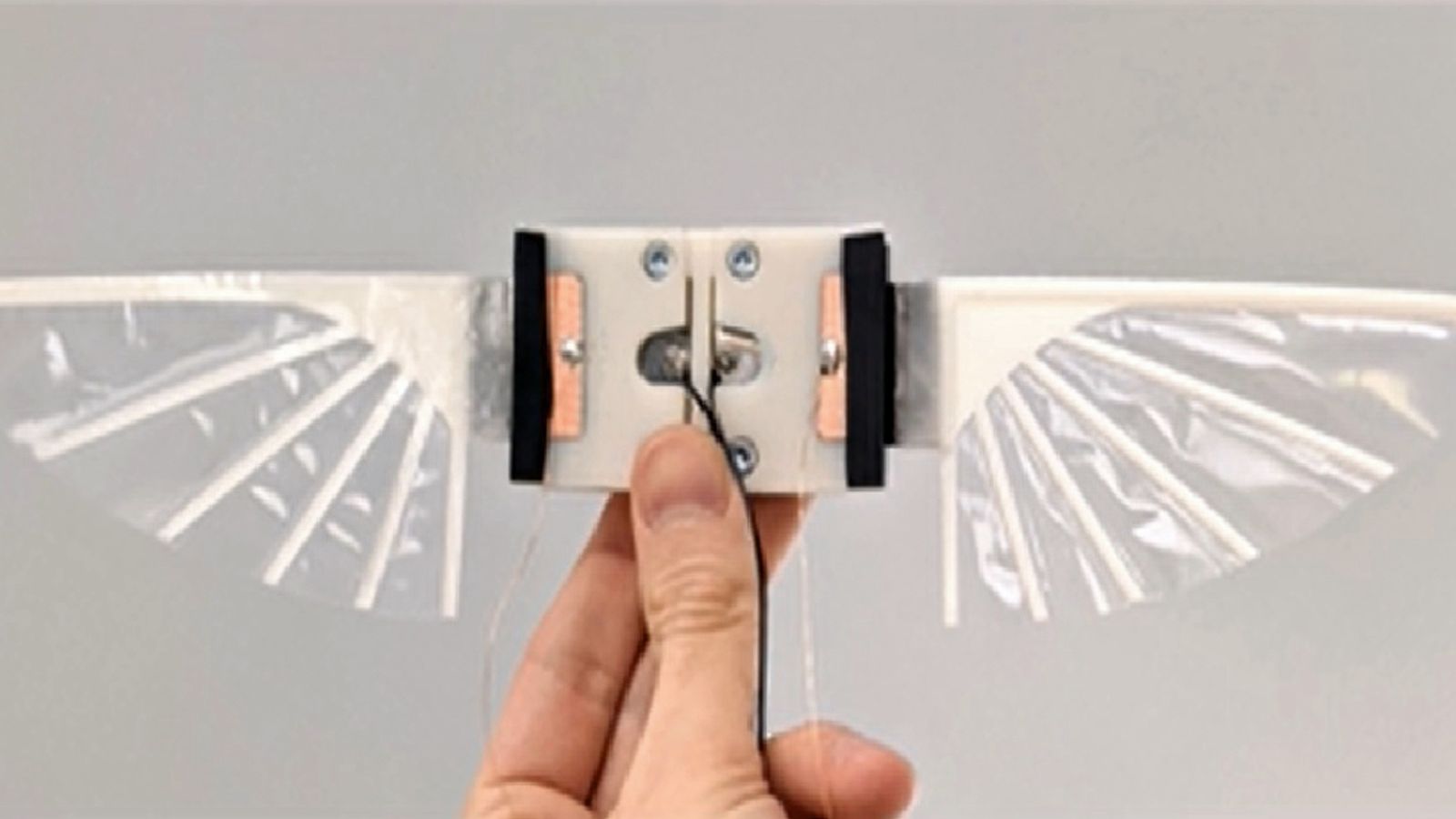 Scientists develop insect-sized robots that flap their wings to fly