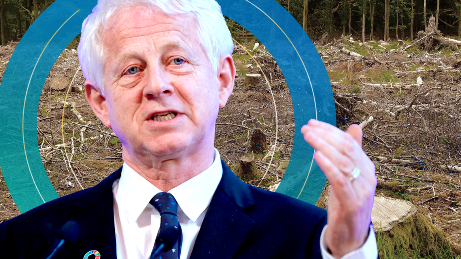 'Red alert': Billions of UK pension money driving deforestation, says Richard Curtis