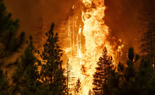 Over 6,000 People Evacuated As California's "Explosive" Wildfire Grows