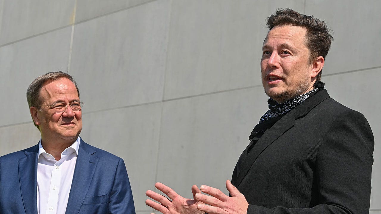 Elon Musk faces skepticism as Tesla plans to deploy humanoid robots