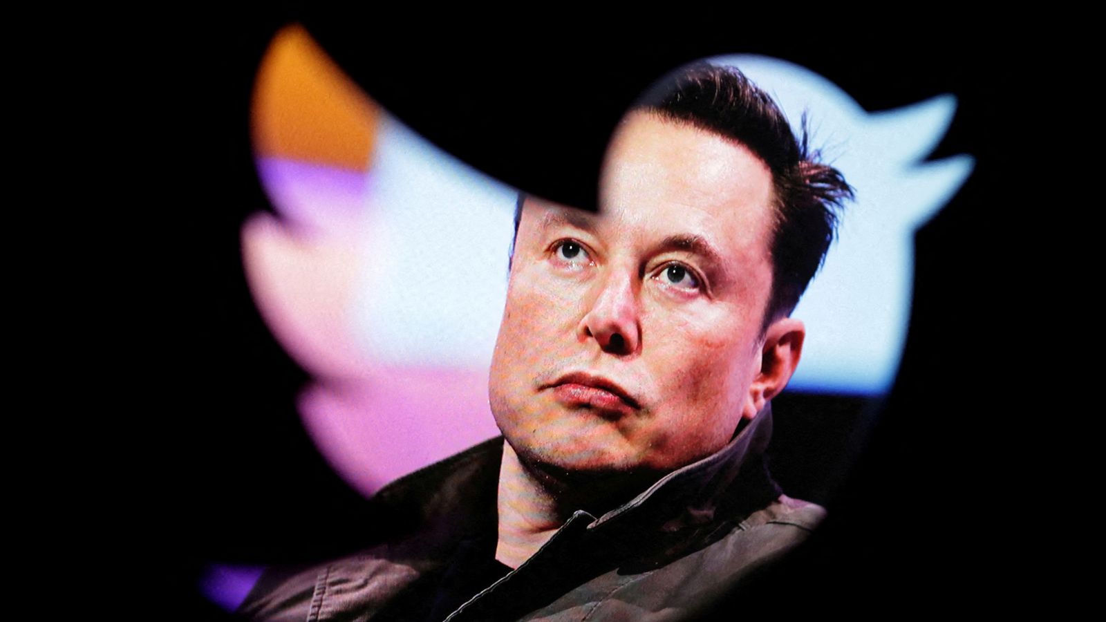 Elon Musk bans Twitter accounts that impersonate others - as comedian falls victim to new rule