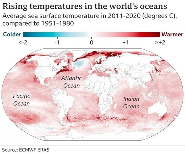 Recent, rapid ocean warming ahead of El Niño alarms scientists